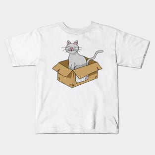 Cat in a box Kids T-Shirt